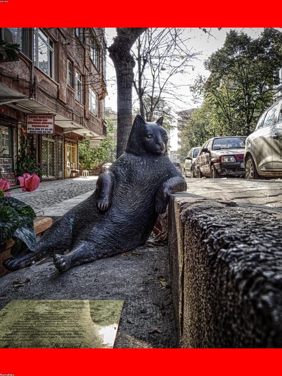 Casaca clínica mujer — vista 4